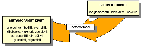 metamorfoosiosio.gif metamorfoosiosio.gif