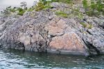Kuva Turunmaan saaristosta. Kuuma laava on tunkeutunut märkään sedimenttiin, joka on yhä nähtävissä. Kalkkipitoinen aines on rapautunut pois, jolloin jäljelle on jäänyt erikoisen näköisiä rakoja. Kuva: Ari Brozinski Kuva Turunmaan saaristosta. Kuuma laava on tunkeutunut märkään sedimenttiin, joka on yhä nähtävissä. Kalkkipitoinen aines on rapautunut pois, jolloin jäljelle on jäänyt erikoisen näköisiä rakoja. Kuva: Ari Brozinski