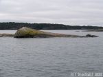 Mannerjäätikön siloittama kalliopinta, jonka tulosuunnan puoleinen sivu on hioutunut viistoksi silokallioksi (Roche moutonnée). Mannerjäätikön siloittama kalliopinta, jonka tulosuunnan puoleinen sivu on hioutunut viistoksi silokallioksi (Roche moutonnée).