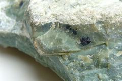 Rasvakiilto (serpentiini)