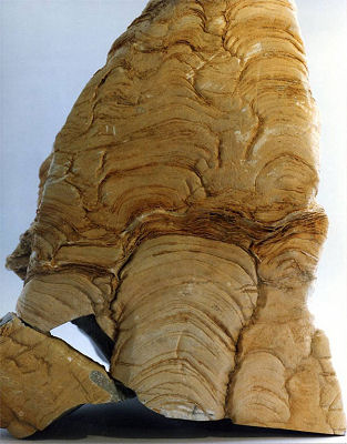 Stromatoliitti on vanhin tunnettu fossiili. Kuva: A. Rusanen.