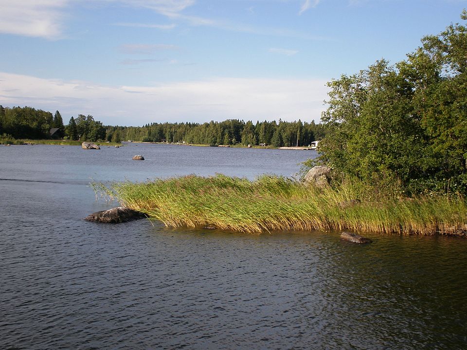 Merenkurkun maisemia Vaasassa. Kuva: Wikimedia Commons / Roland Struwe.