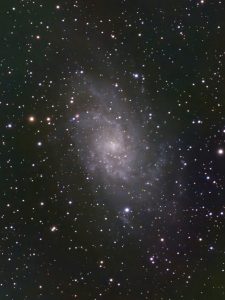 Kierteinen Kolmion Galaksi M 33 kuuluu Linnunradan ja Andromedan kanssa samaan paikalliseen galaksien ryhmään. Kuva: Teemu Karlsson.