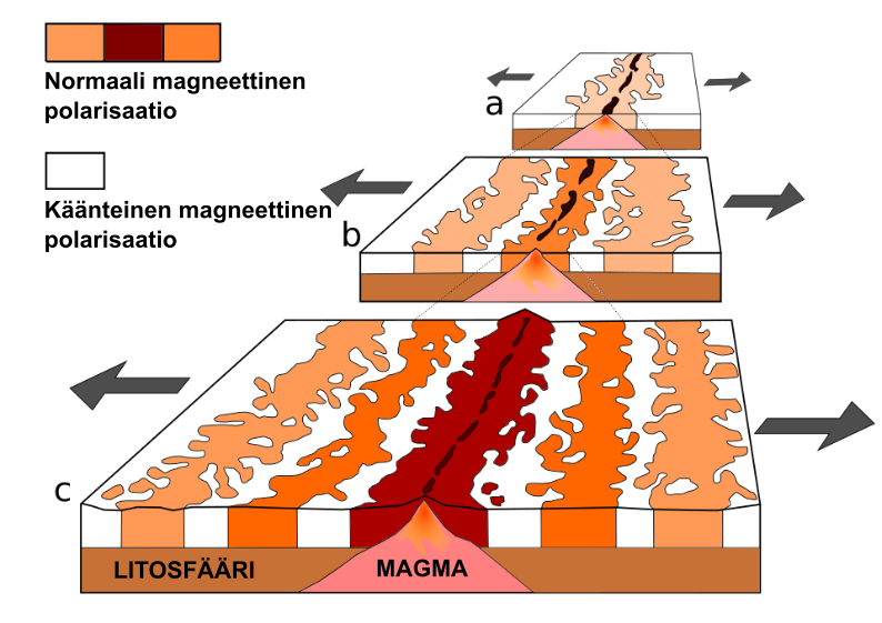 Teoreettinen paleomagneettinen iänmääritysmalli valtamerellisen kallioperän magneettisten juovien synnystä. Keskiselänteen harjalla jatkuvasti muodostuva uusi merellinen kuori jäähtyy ja vanhenee siirtyessään harjanteelta poispäin merenpohjan leviämisen seurauksena: a) leviävä selänne noin 5 miljoonaa vuotta sitten, b) noin 2–3 miljoonaa vuotta sitten, c) nykytilanne. Kuva: muokattu alkuperäisestä USGS:n kuvasta.