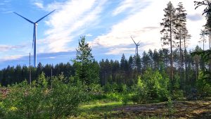 Tuulivoima on uusiutuvaa energiaa, jota voidaan varastoida vedyksi myöhempää käyttöä varten. Kuva: Heidi Laxström, Geologian tutkimuskeskus GTK.