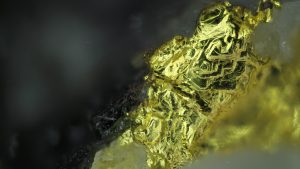 Kuvassa kiiltää kulta, joka on kiinni vaaleassa kvartsissa. Kyseinen geologinen taideteos eli jalometallinäyte on peräisin Kanadan Timminsistä, jossa on kaivettu kultaa jo yli sata vuotta. Kuva: Tapio Soukka